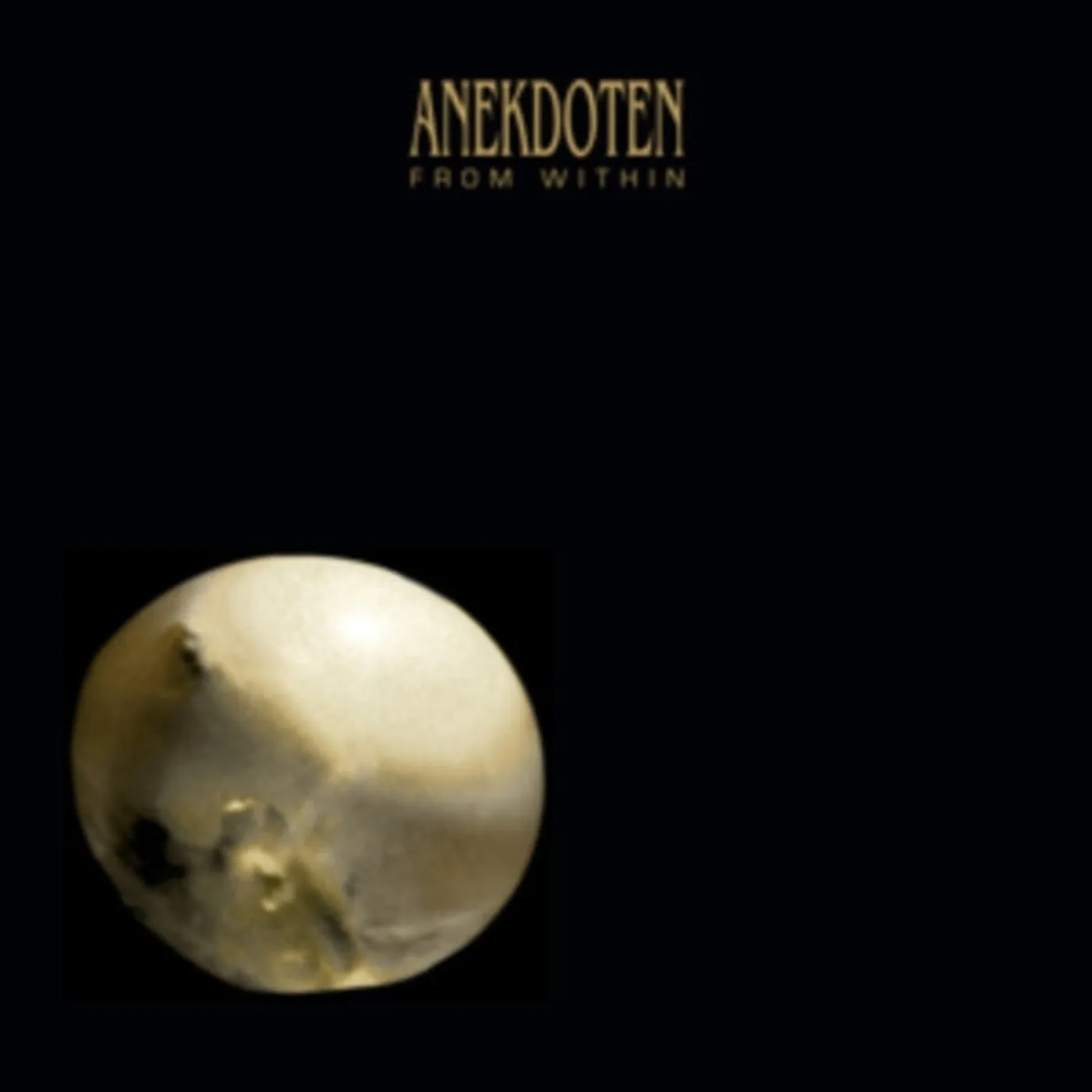 Anekdoten LP - From Within (Vinyl)