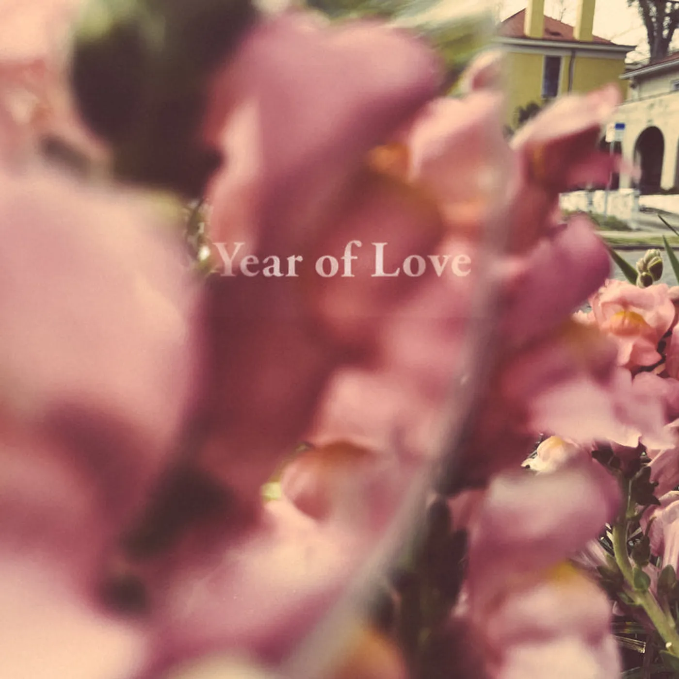 Beta Radio LP - Year Of Love (Vinyl)