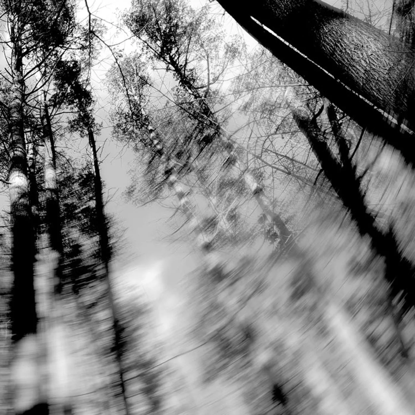 Loess LP - Totems (Vinyl)