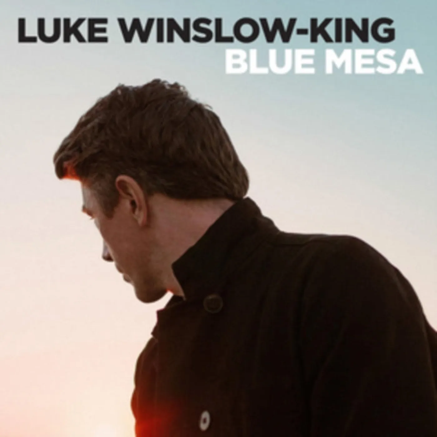 Luke Winslow-King LP - Blue Mesa (Vinyl)