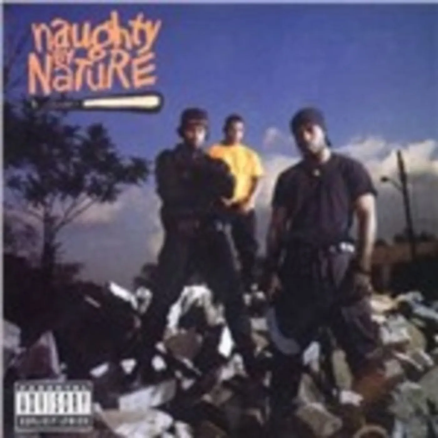 Naughty By Nature LP - Naughty By Nature (30Th Annive (Vinyl)