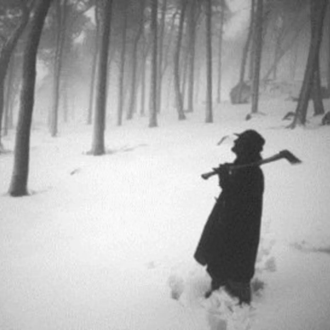 Neil McSweeney LP - Coat Worth Wearing A (Vinyl)