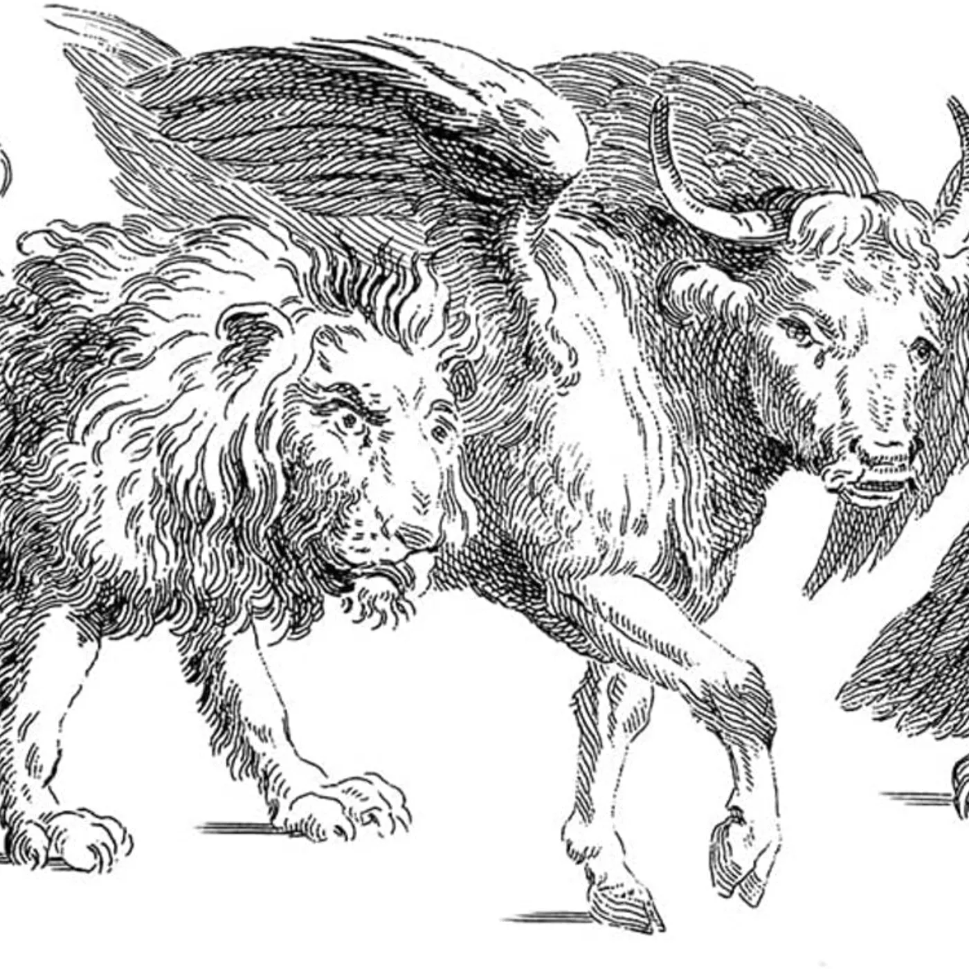 Niagara LP - 1807: Músicas Retiradas Dos CDRs