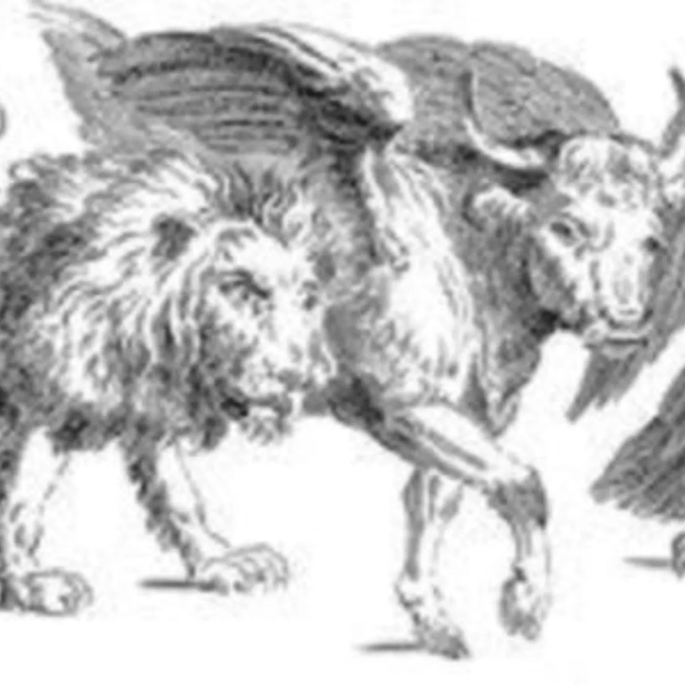 Niagara LP - 1807: Músicas Retiradas Dos CDRs