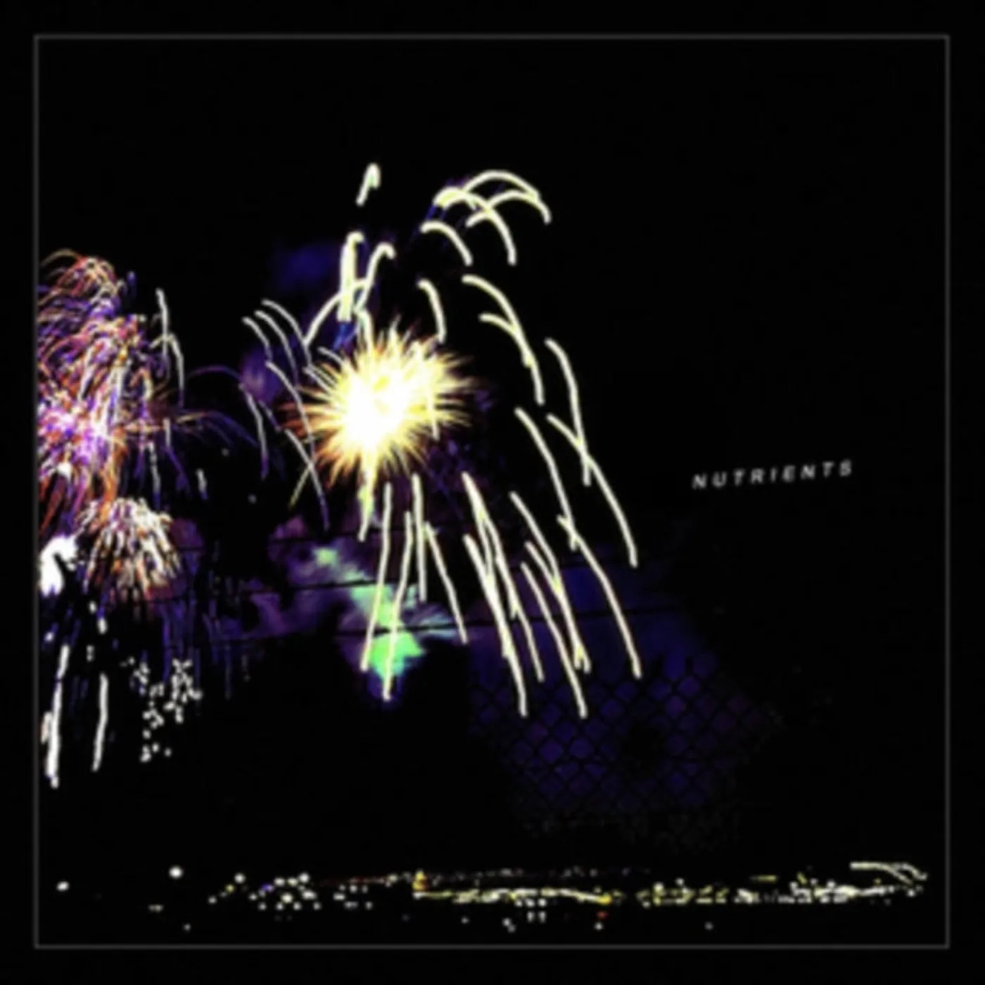 Nutrients LP - Different Bridges (Vinyl)