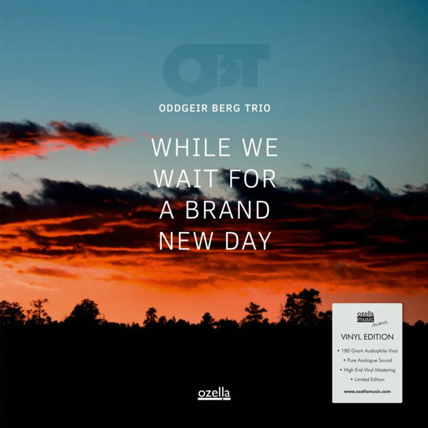 Oddgeir Berg Trio LP - While We Wait For A Brand New (Vinyl)