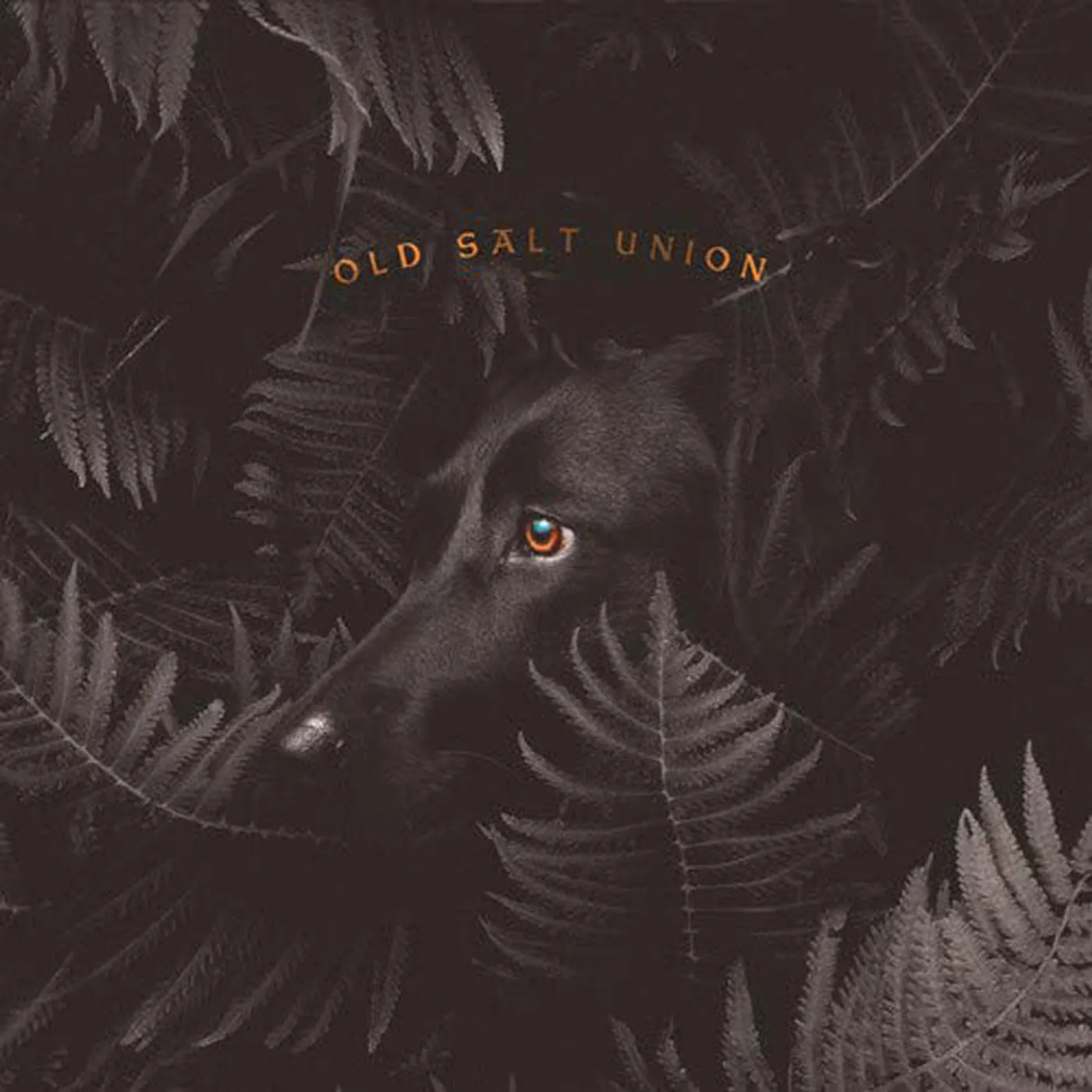 Old Salt Union LP - Where The Dogs Dont Bite (Vinyl)