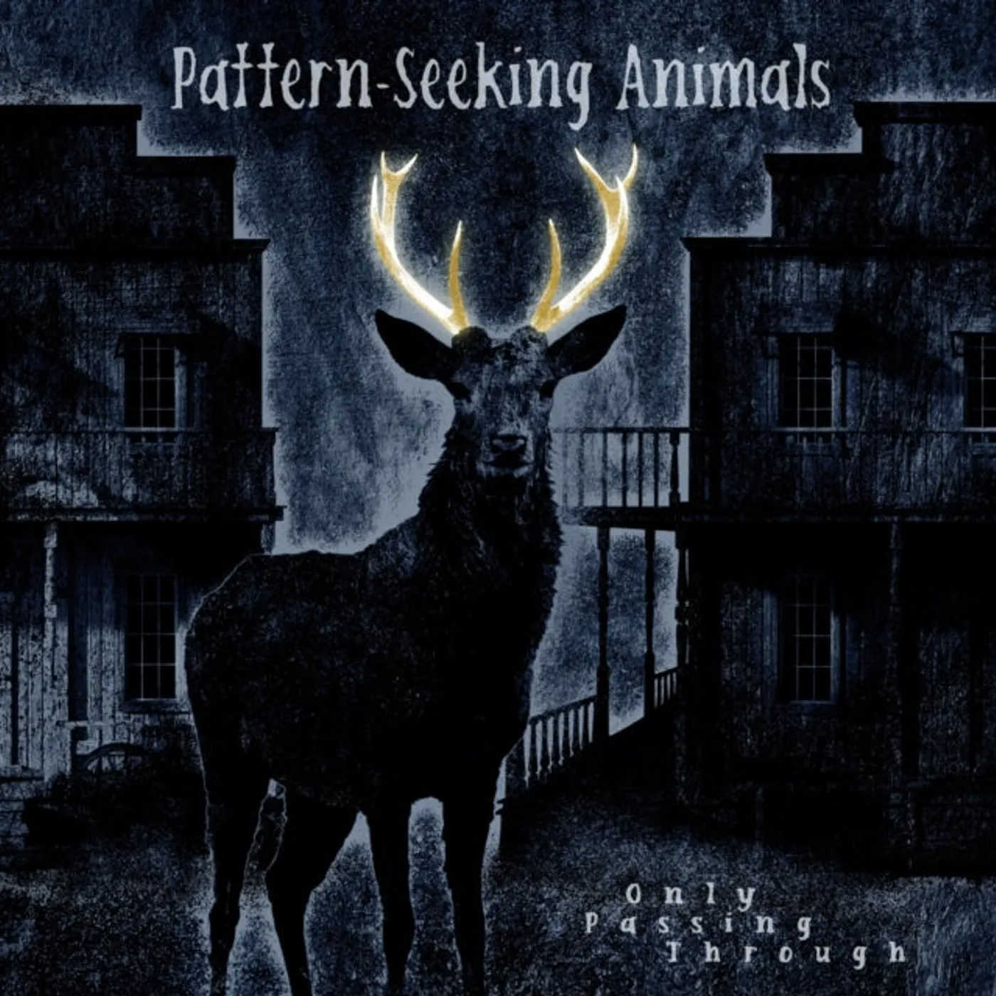 Pattern-Seeking Animals LP - Only Passing Through (Gatefold (Vinyl)