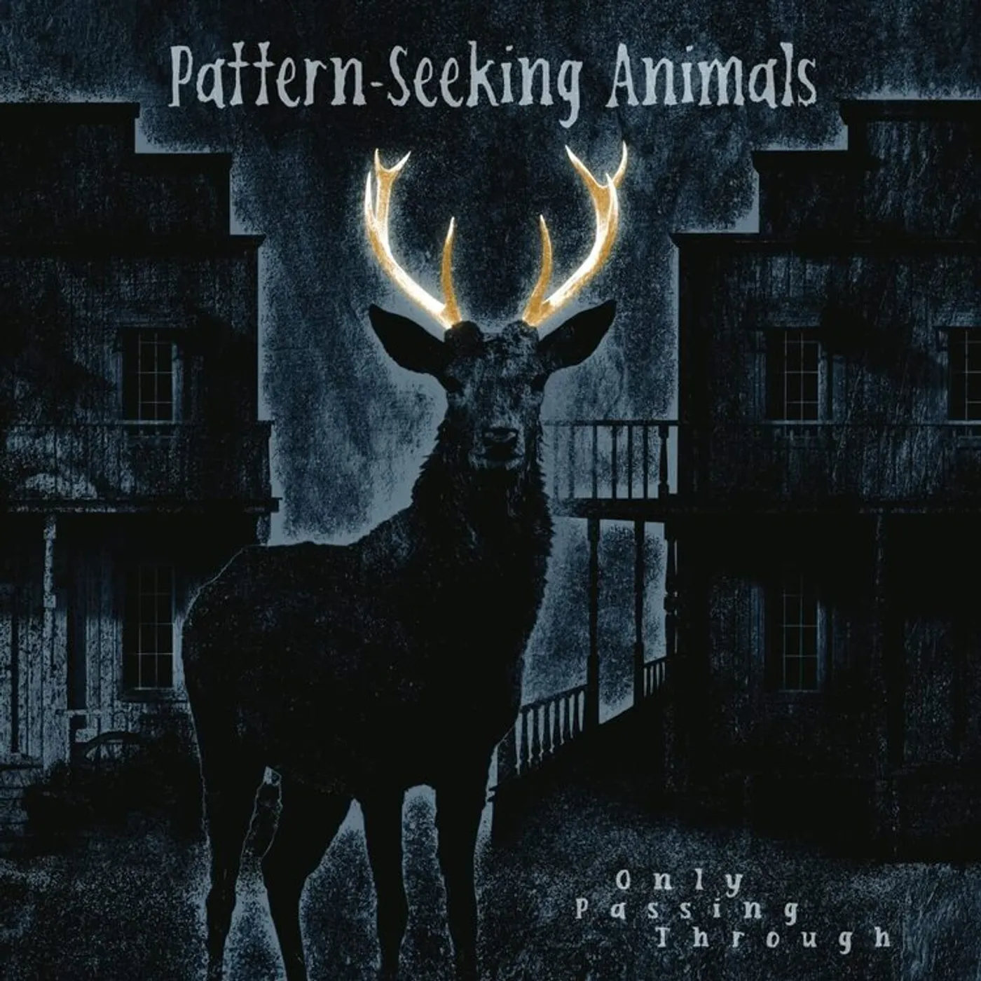 Pattern-Seeking Animals LP - Only Passing Through (Gatefold (Vinyl)