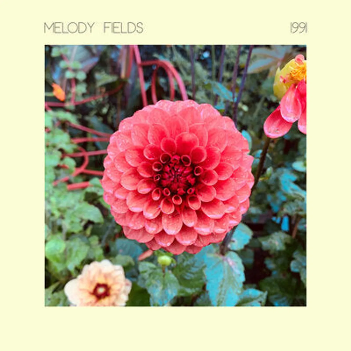 Melody Fields LP - 1991 (Vinyl)