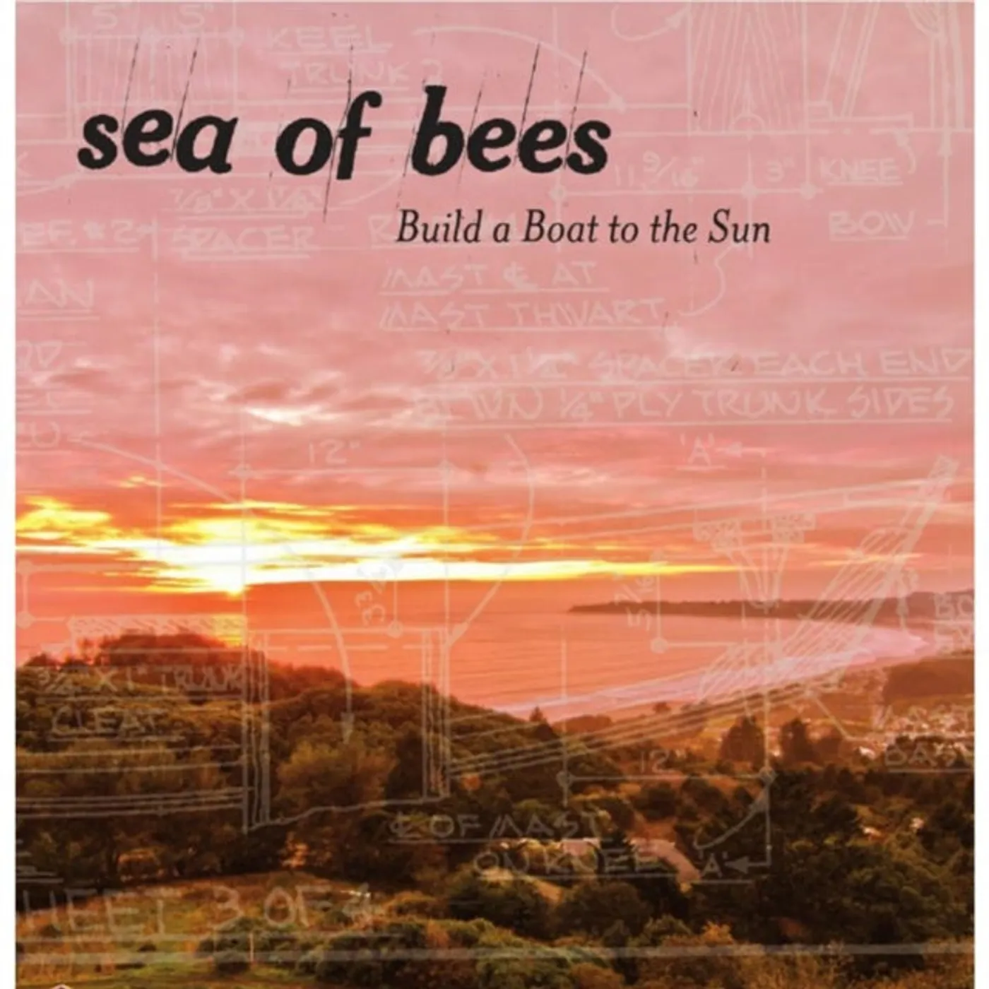 Sea Of Bees LP - Build A Boat To The Sun (Vinyl)