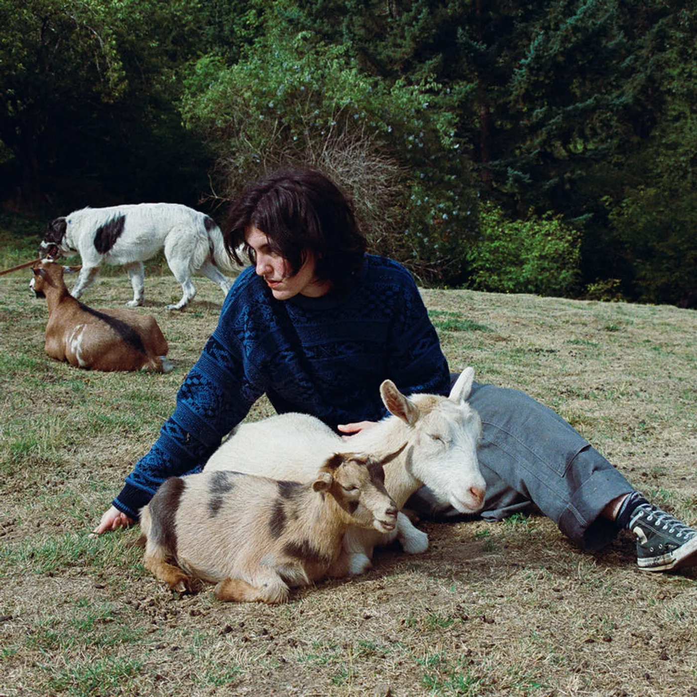 Searows LP - End Of The World (Vinyl)