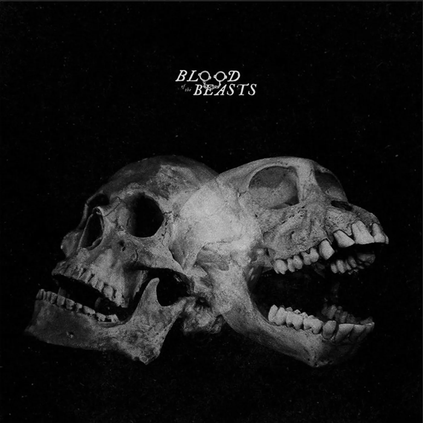 Sect LP - Blood Of The Beasts (Vinyl)