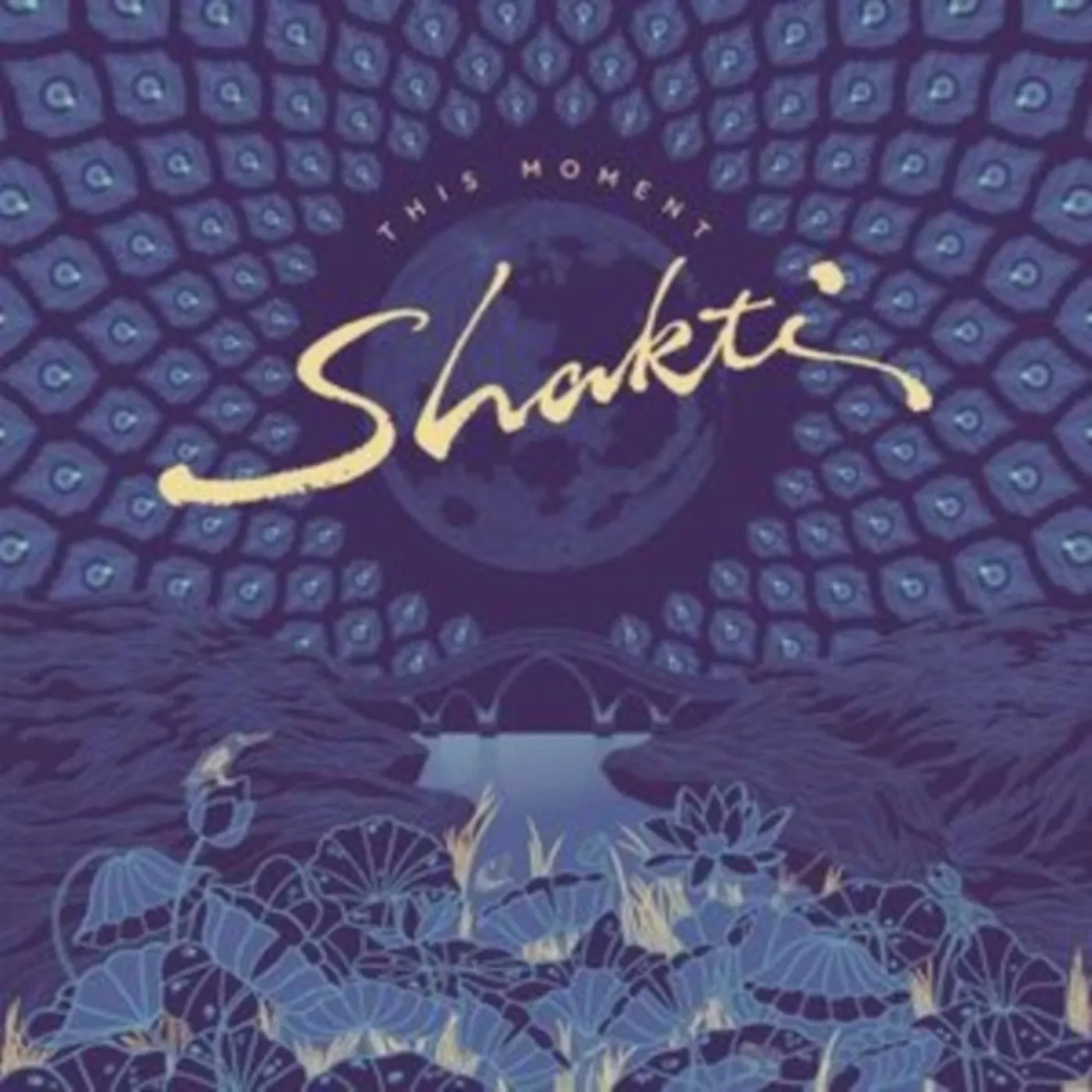 Shakti LP - This Moment (Vinyl)