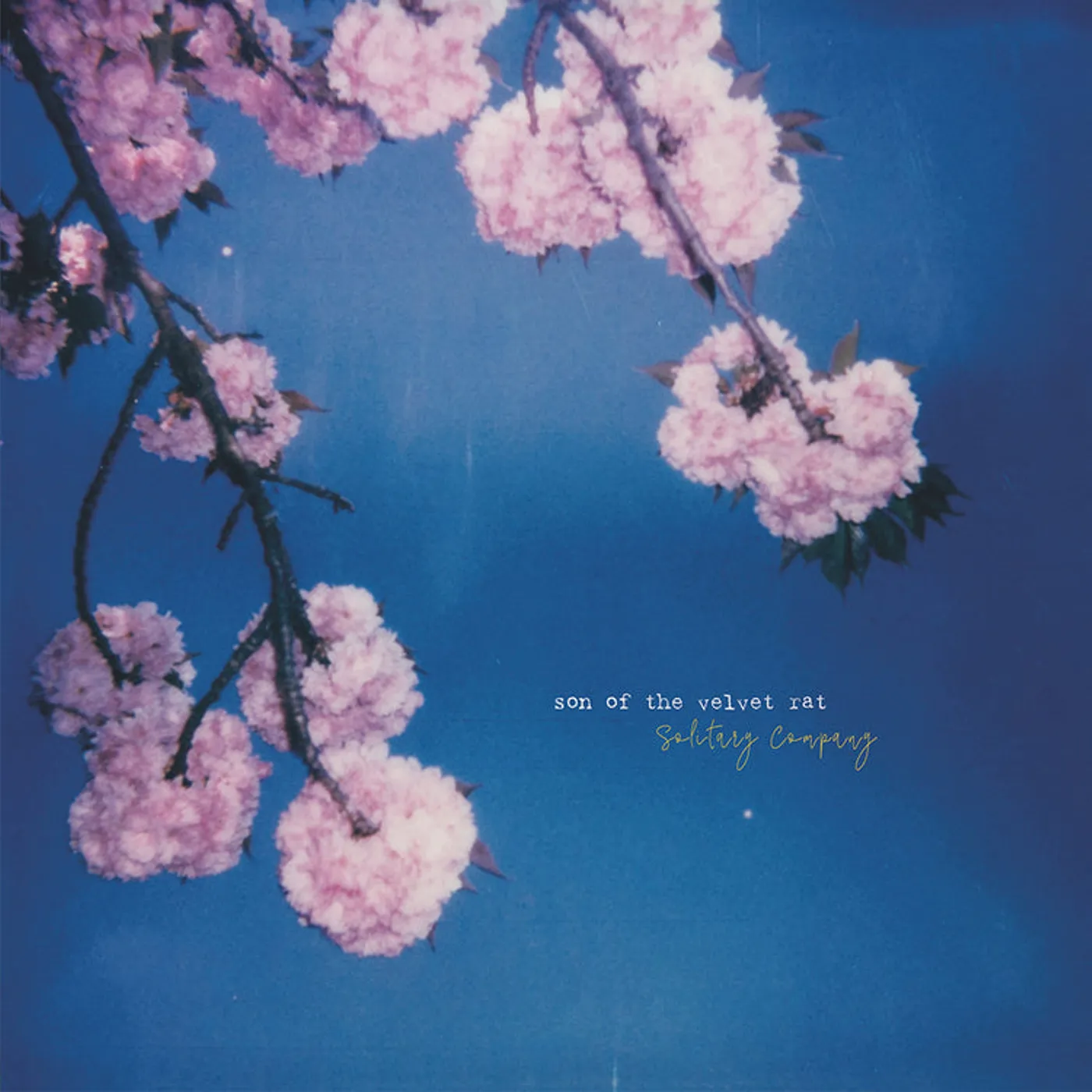 Son Of The Velvet Rat LP - Solitary Company (Vinyl)