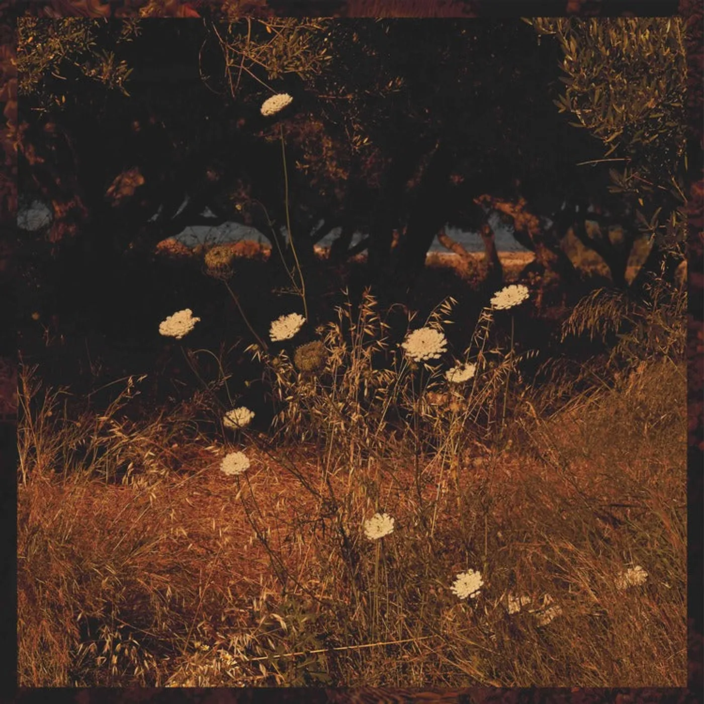 Szun Waves LP - Earth Patterns (Vinyl)