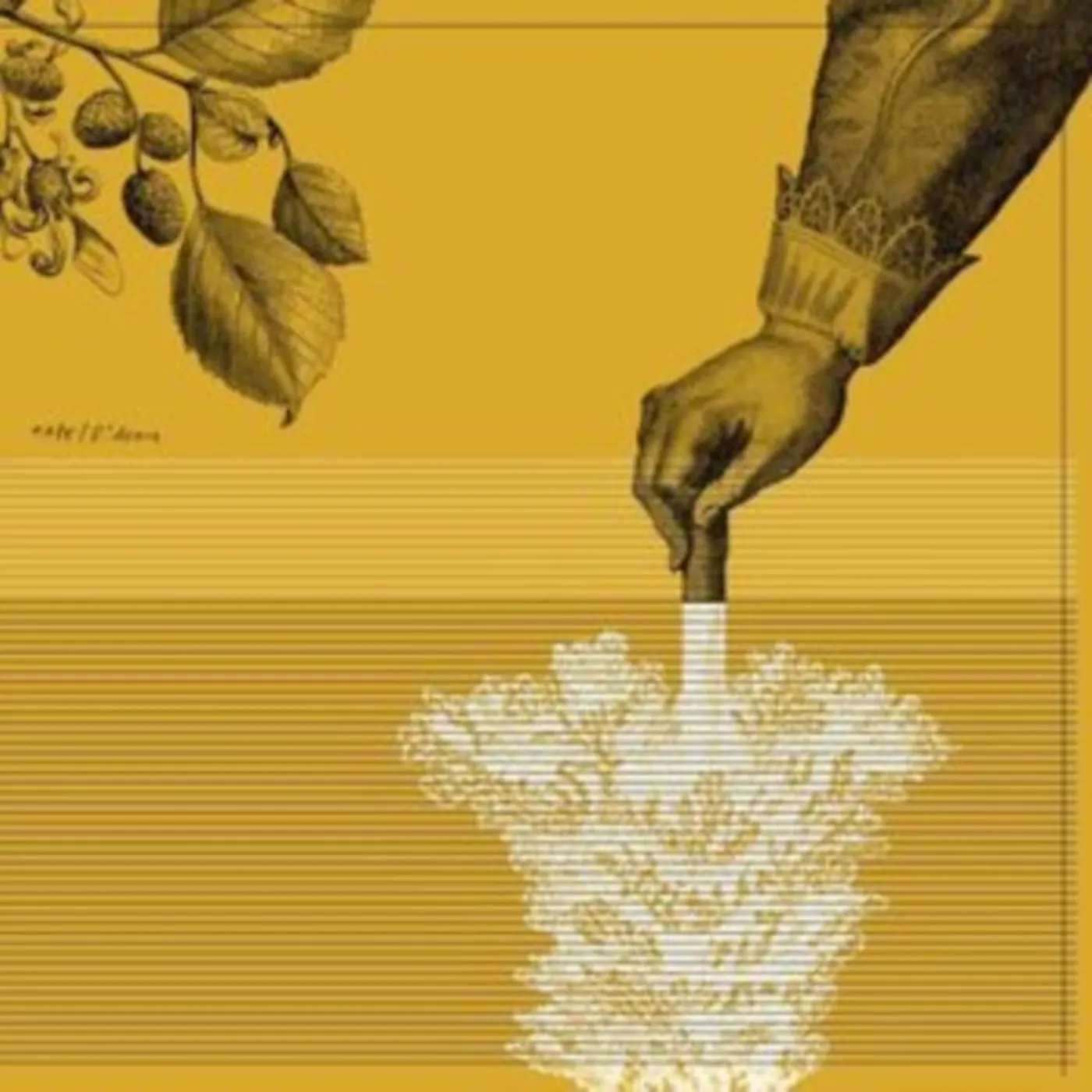 Tape LP - Rideau (Vinyl)