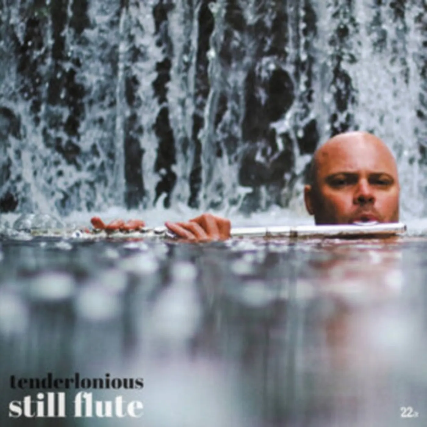Tenderlonious LP - Still Flute (Vinyl)