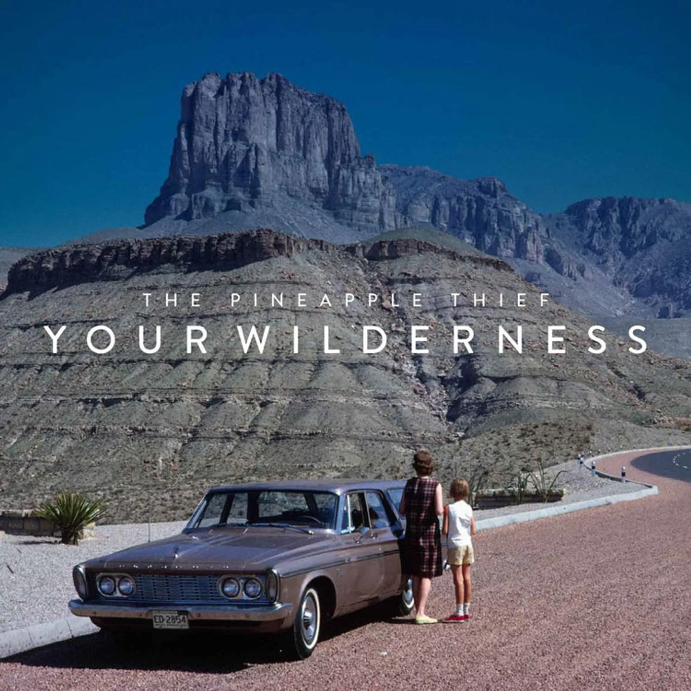 The Pineapple Thief LP - Your Wilderness (Vinyl)