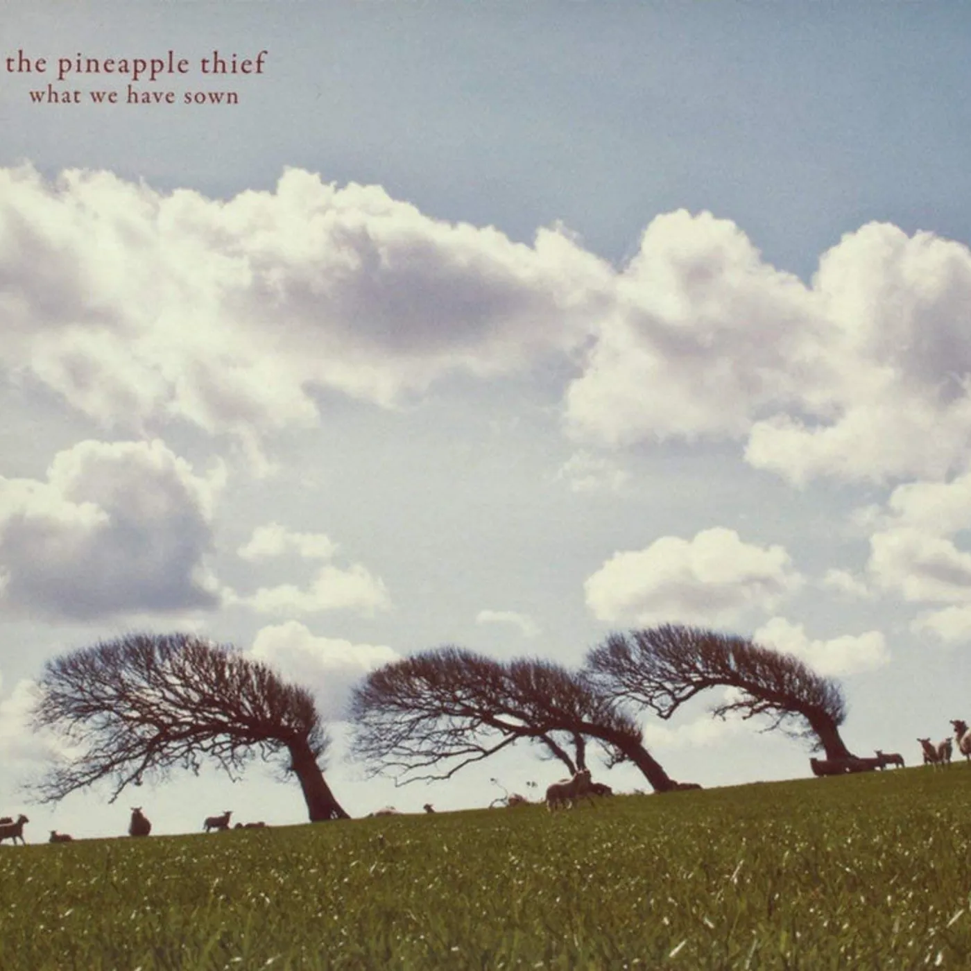 The Pineapple Thief LP - What We Have Sown (Vinyl)
