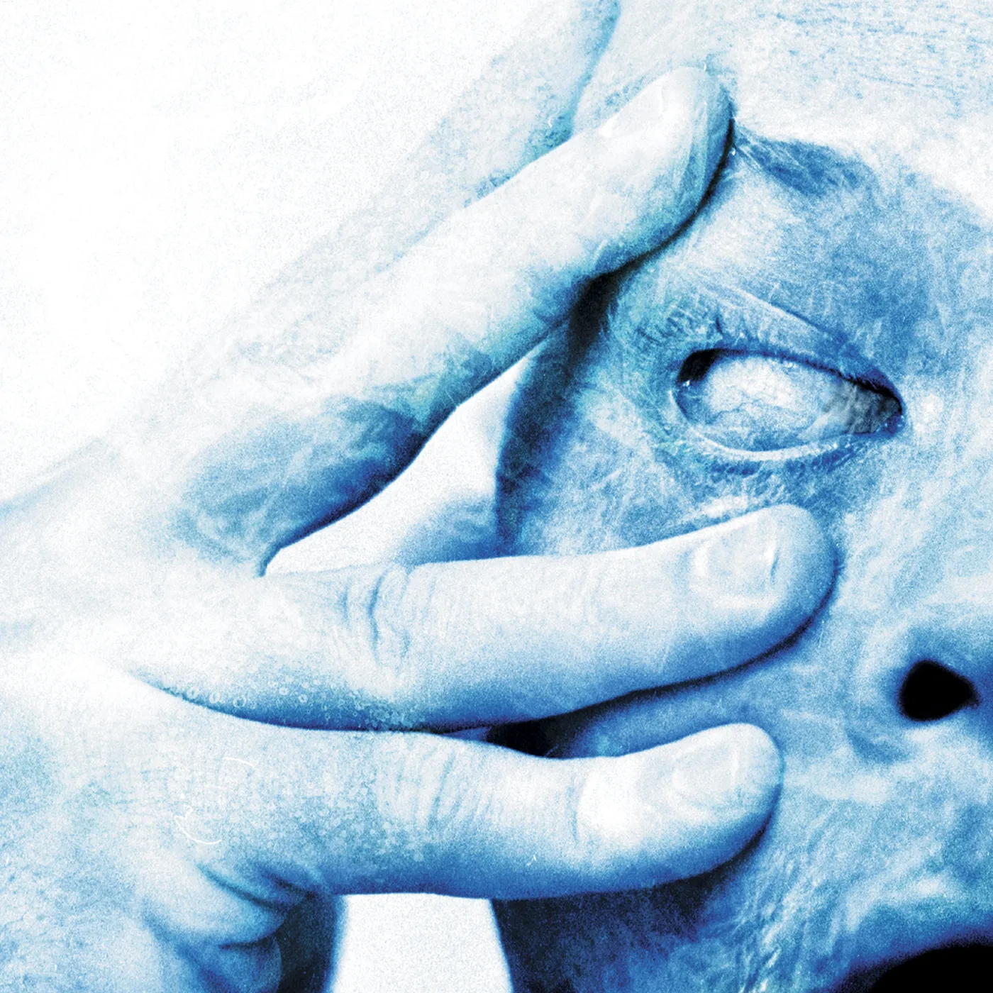 Porcupine Tree LP - In Absentia (Vinyl)