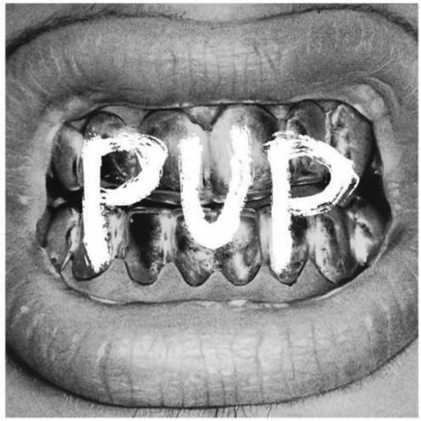 Pup LP - Pup (Vinyl)