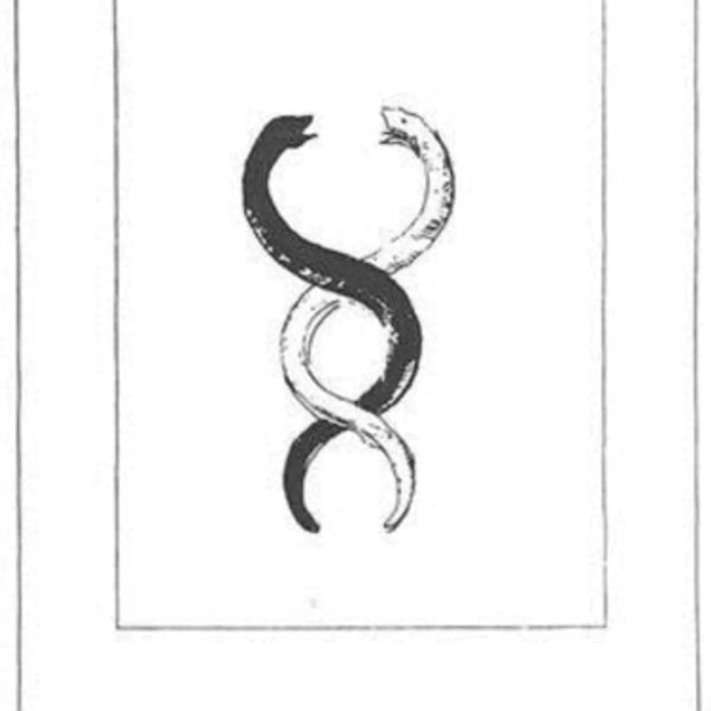 Pure X LP - Crawling Up The Stairs (Vinyl)