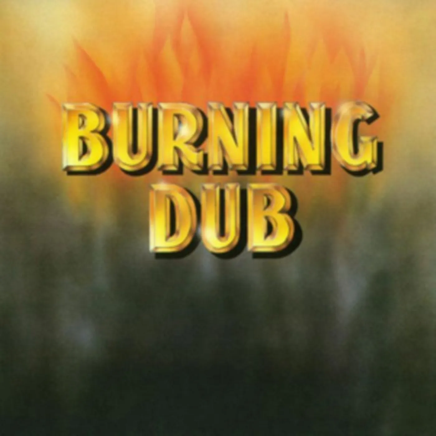 The Revolutionaries LP - Burning Dub (Vinyl)