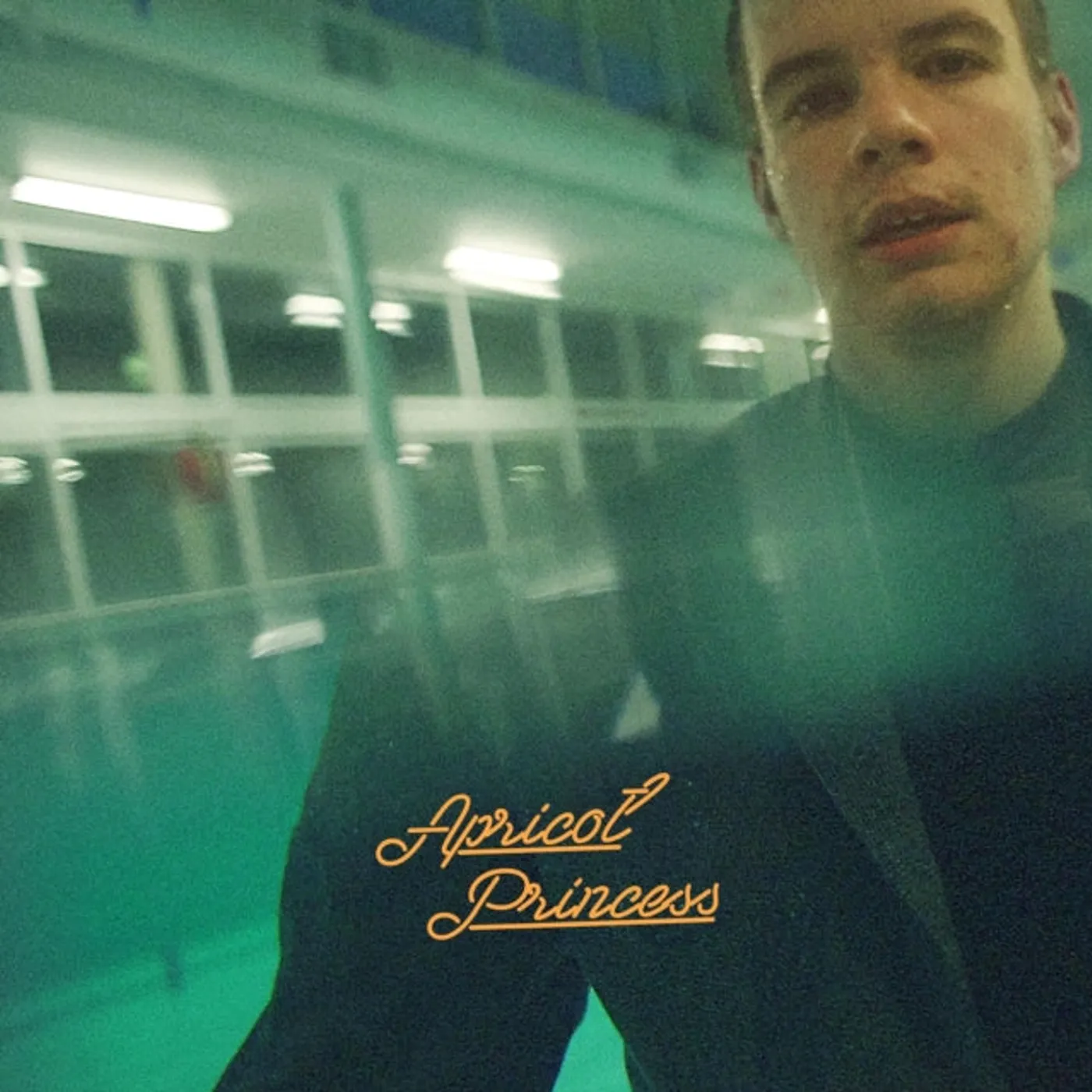 Rex Orange County LP - Apricot Princess (Vinyl)