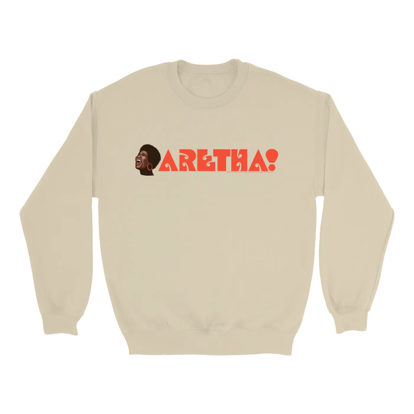 Aretha Franklin Sweatshirt | Cartoon Logo Aretha Franklin Sweatshirt
