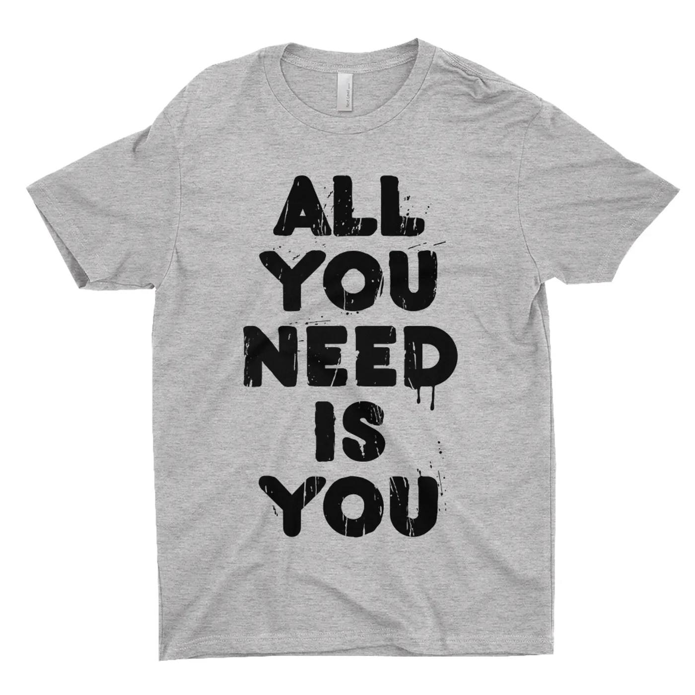 Aerosmith T-Shirt | All You Need Is You Worn By Steven Tyler Aerosmith Shirt
