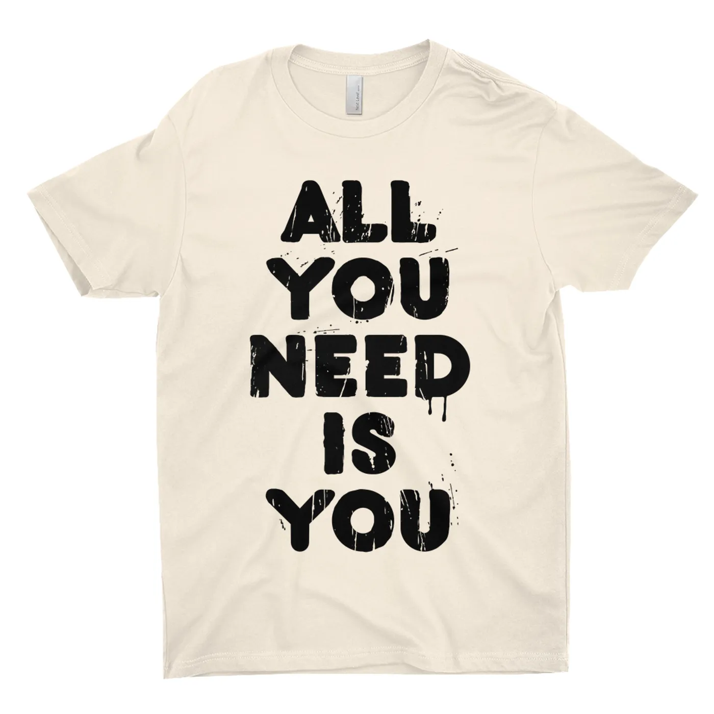 Aerosmith T-Shirt | All You Need Is You Worn By Steven Tyler Aerosmith Shirt