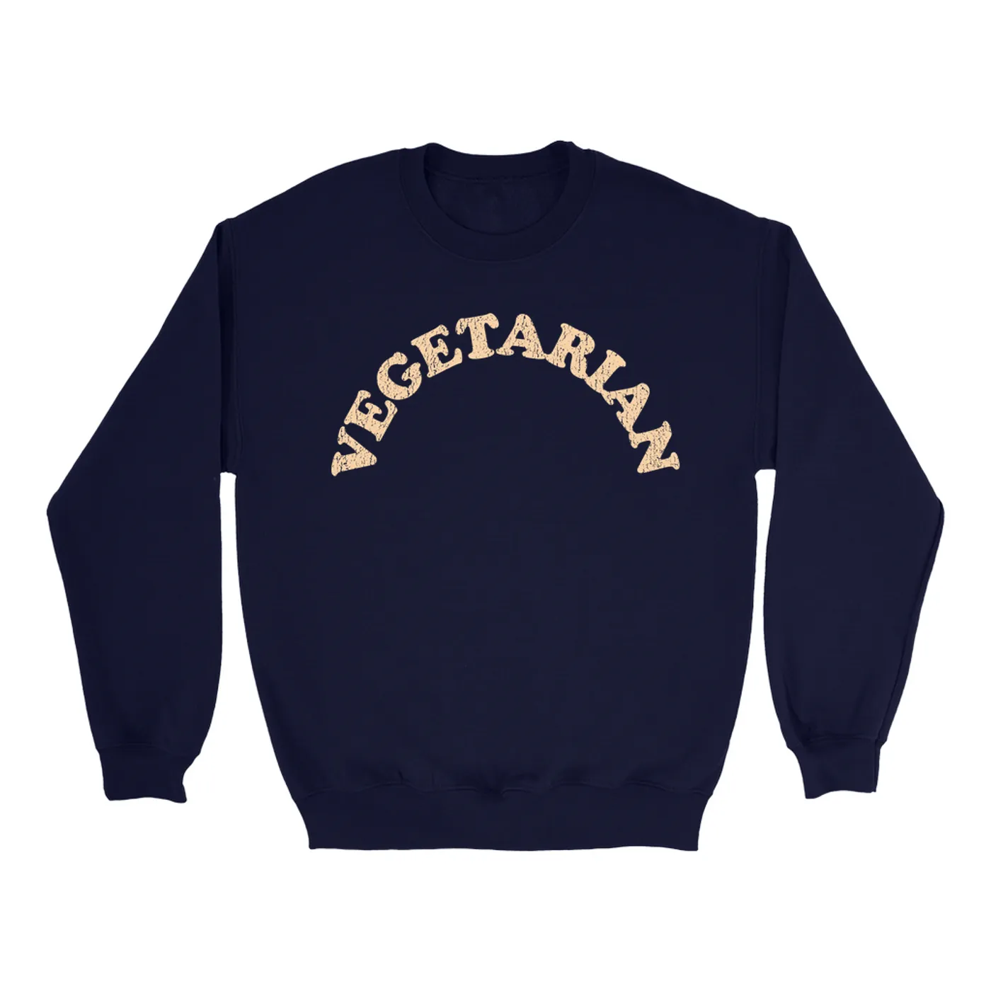 Lynyrd Skynyrd Sweatshirt | Vegetarian Worn By Artimus Pyle Lynyrd Skynyrd Sweatshirt