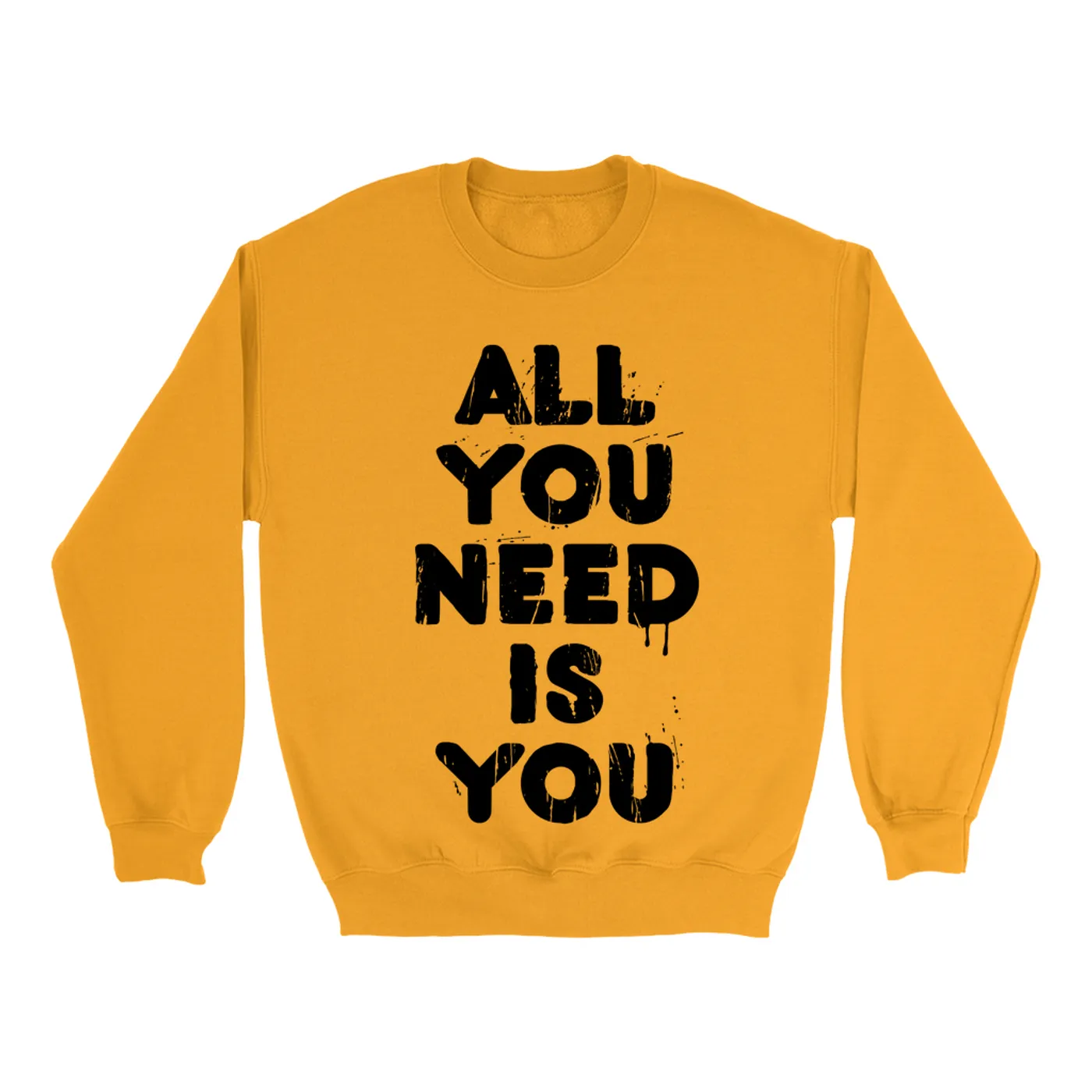 Aerosmith Sweatshirt | All You Need Is You Worn By Steven Tyler Aerosmith Sweatshirt