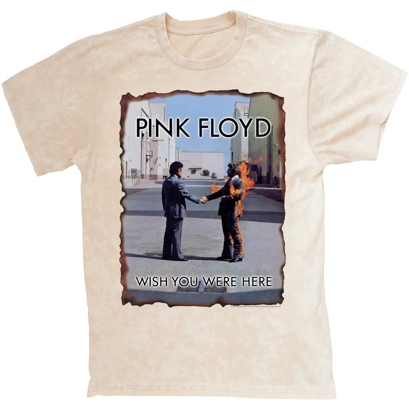Pink Floyd T-shirt | Wish You Were Here Vintage Burnt Pink Floyd Mineral Wash Shirt