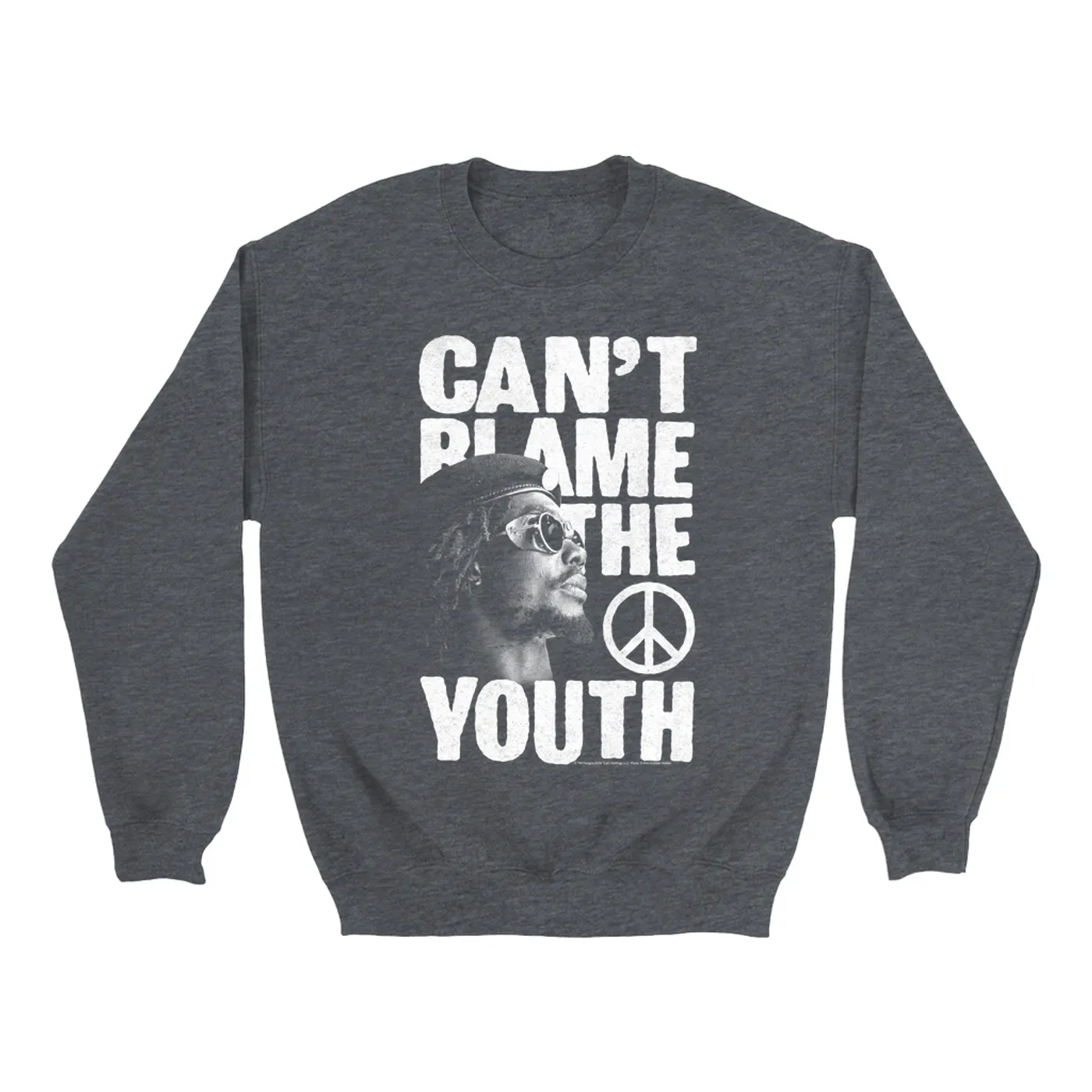 Peter Tosh Sweatshirt | Can't Blame The Youth Distressed Peter Tosh Sweatshirt