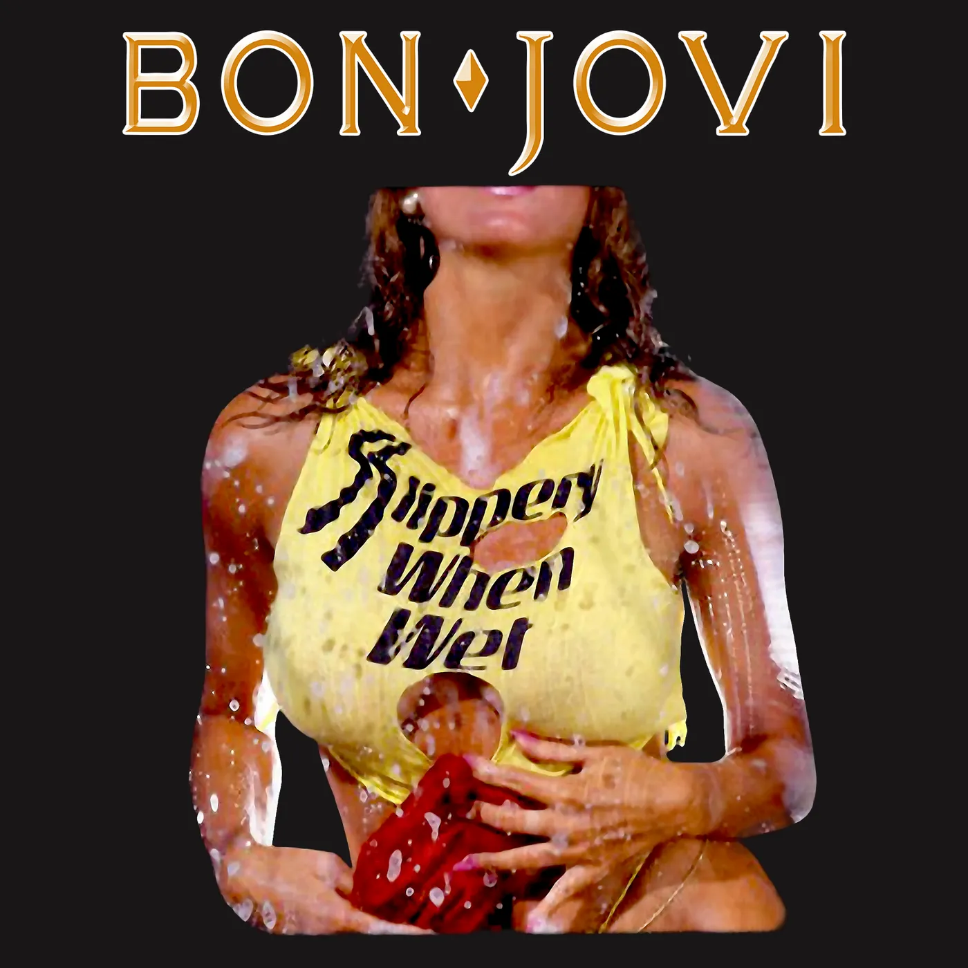 Bon Jovi T-Shirt | Slippery When Wet Black Bon Jovi Shirt
