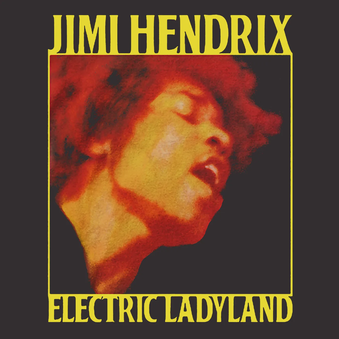 Jimi Hendrix T-Shirt | Electric Ladyland Album Art Jimi Hendrix Shirt