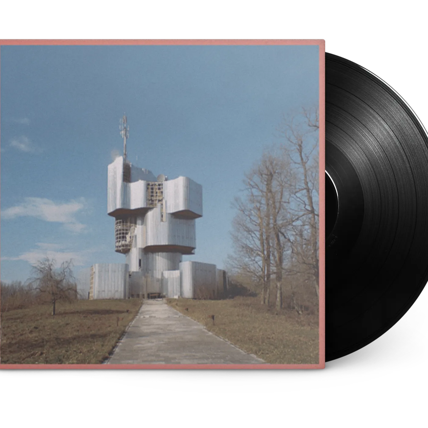 Unknown Mortal Orchestra 12" Vinyl (Black)