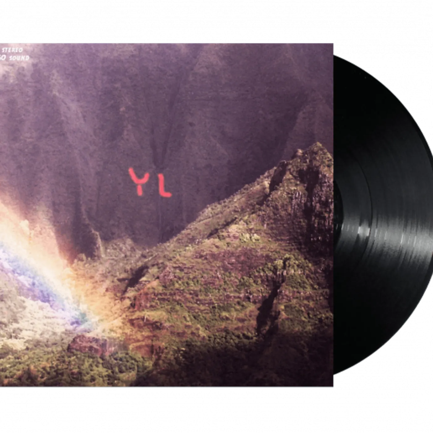Youth Lagoon The Year of Hibernation 12" Vinyl