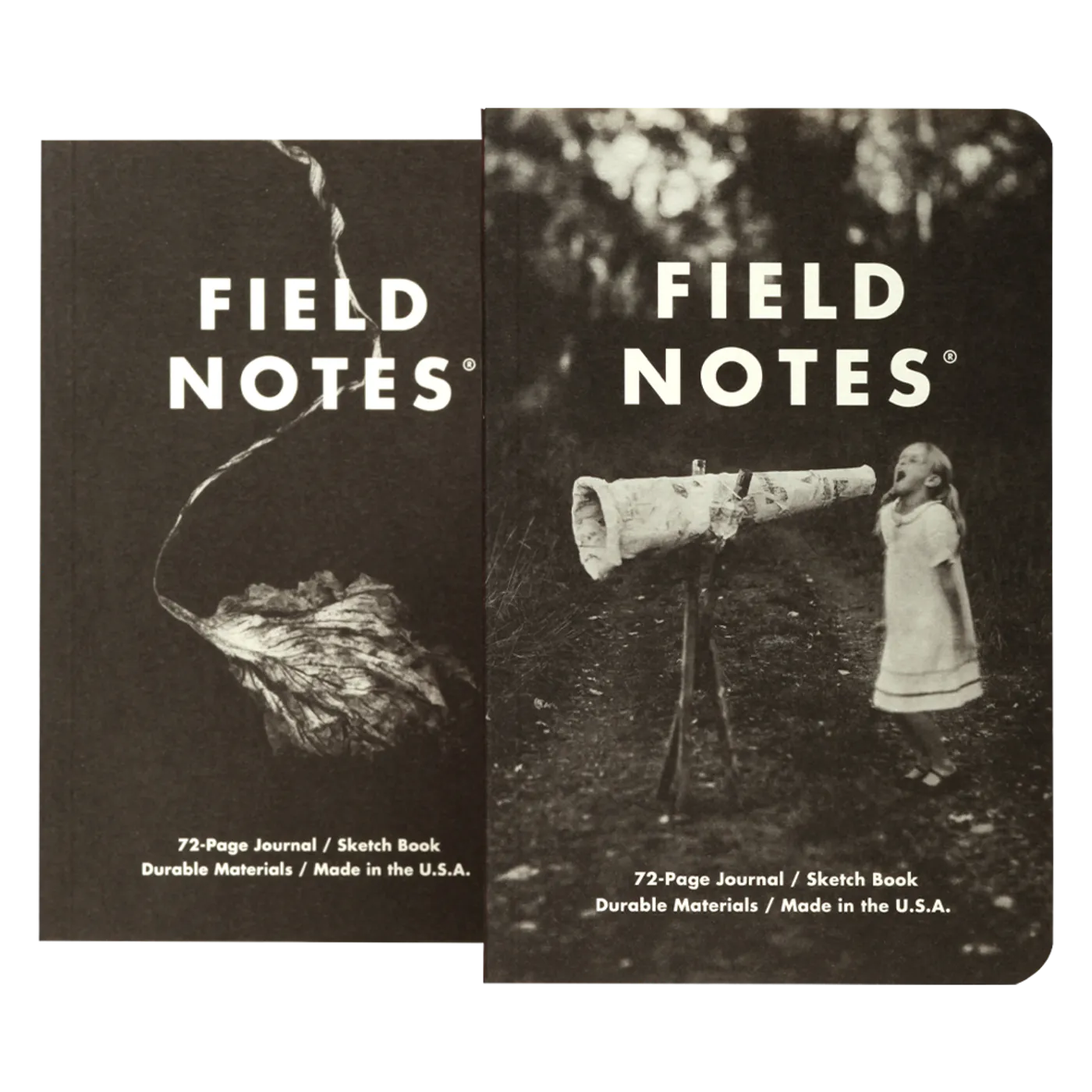 Maggie Rogers x Field Notes  Personal Journal Sketchbooks