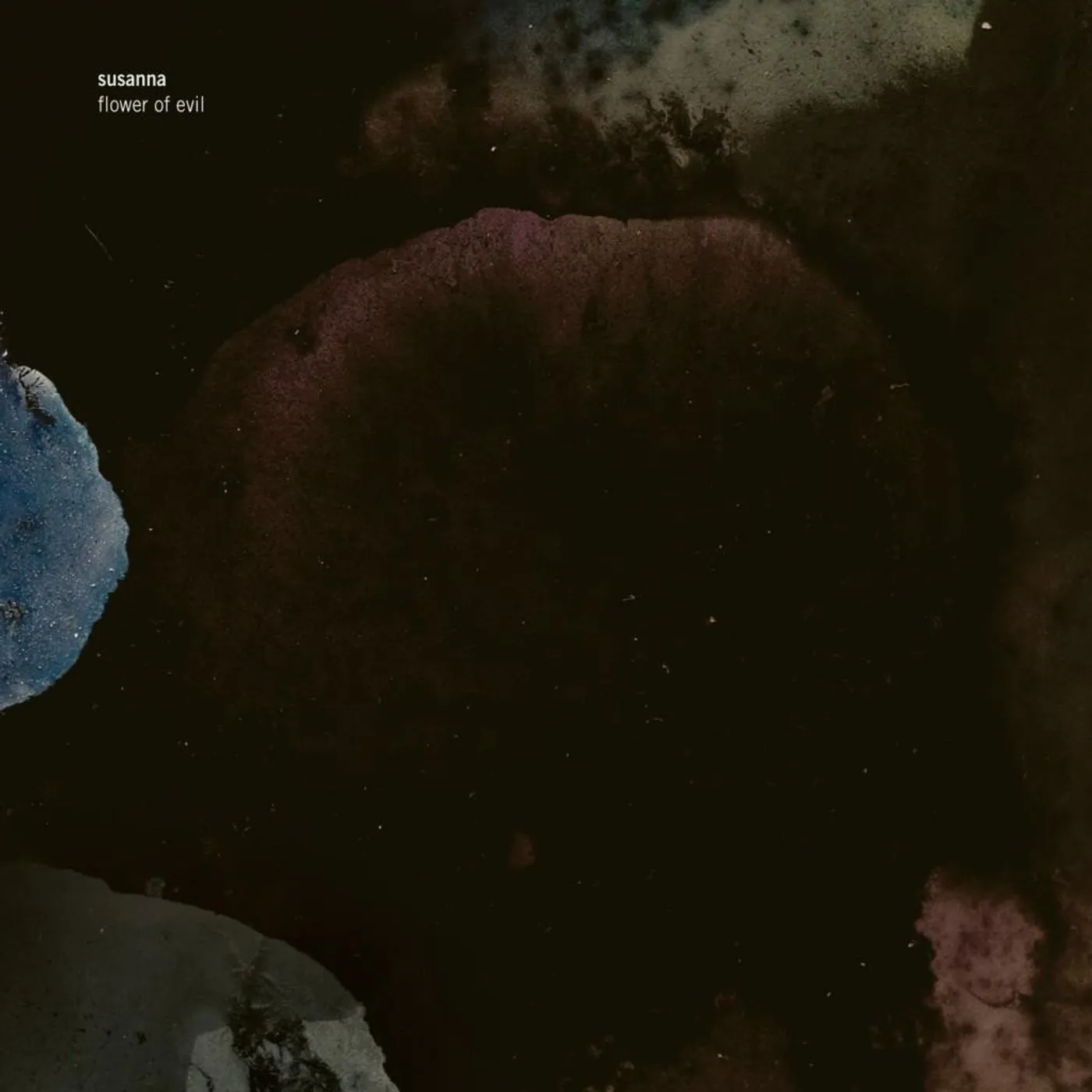 Susanna 'Flower Of Evil' Vinyl Record