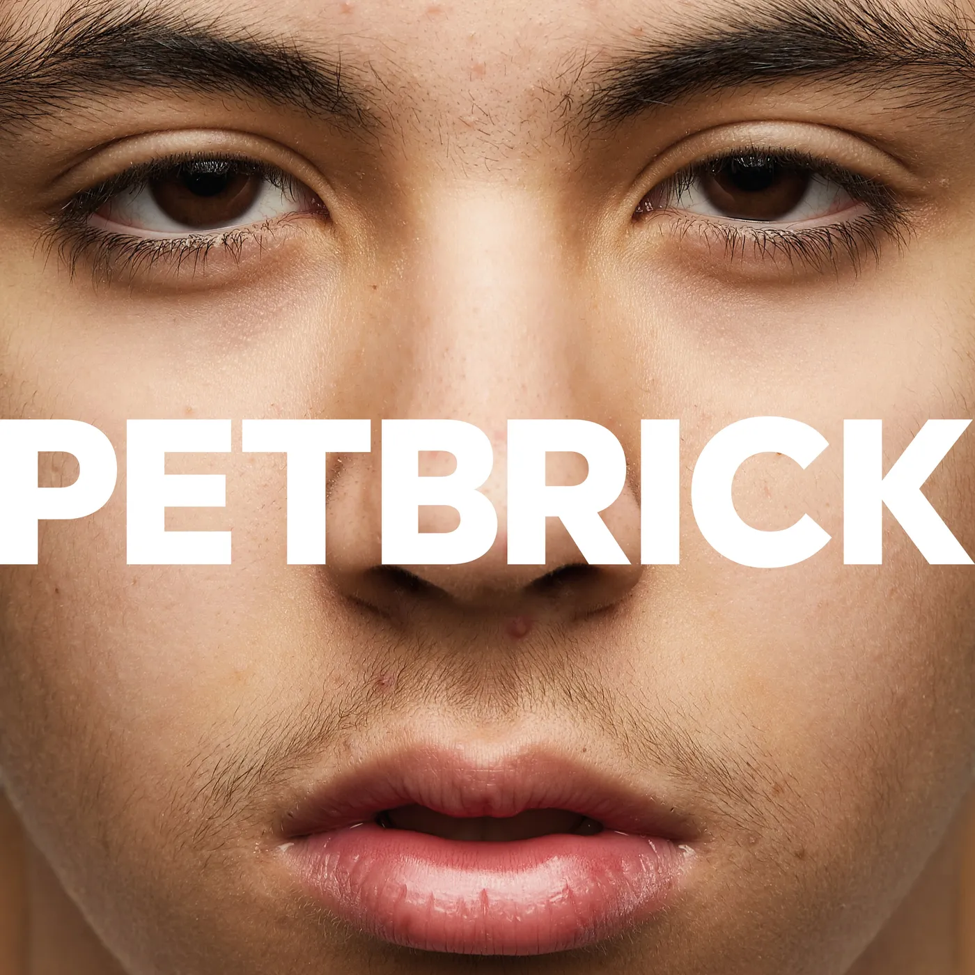 Petbrick 'I' Vinyl Record