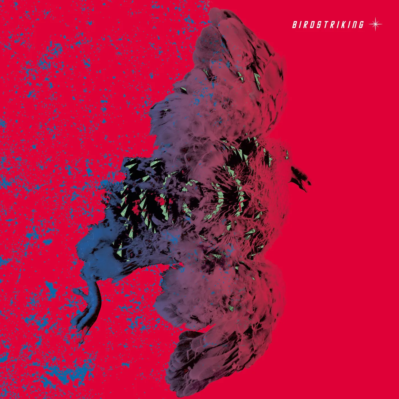 Birdstriking 'Birdstriking' Vinyl Record