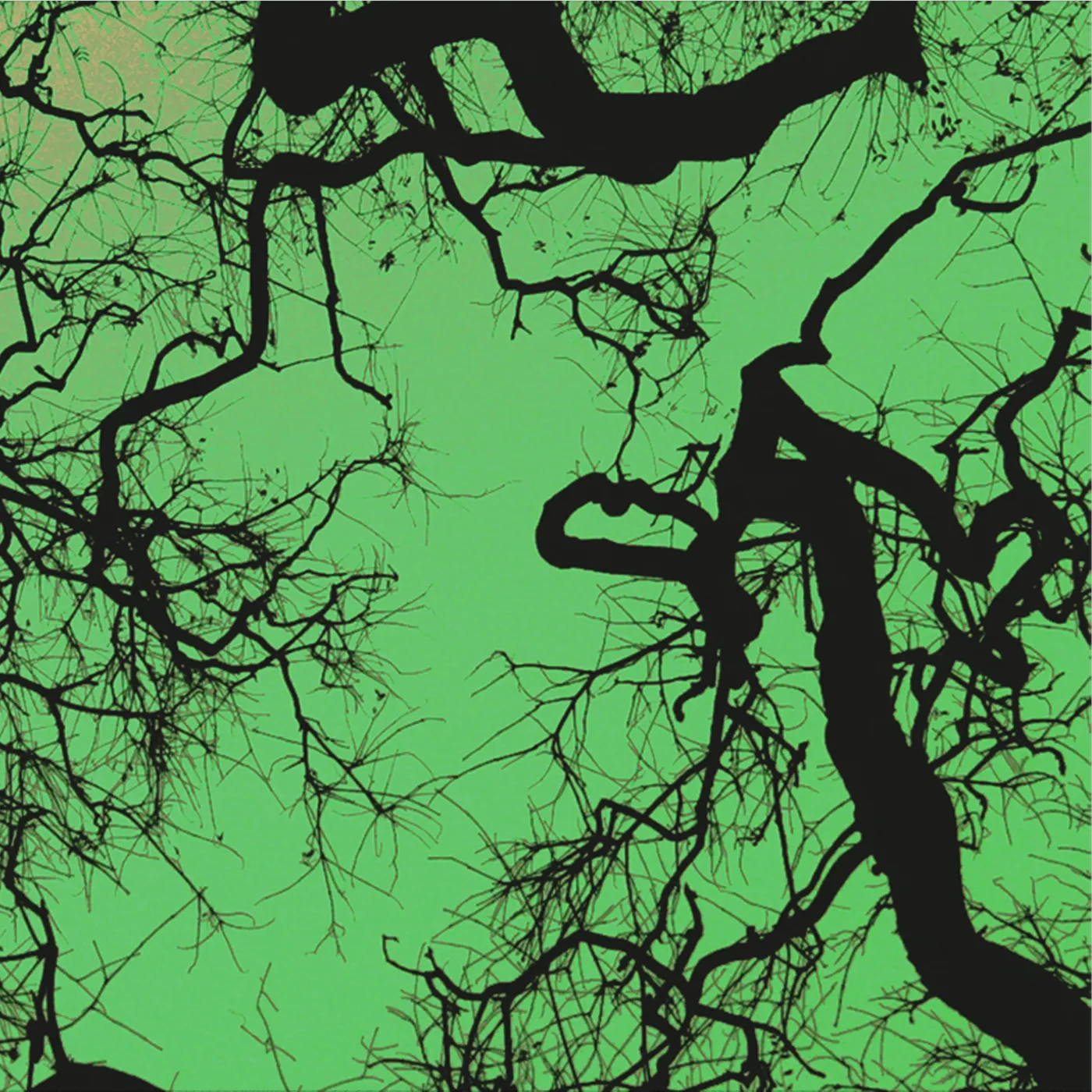 Föllakzoid 'Föllakzoid' Vinyl LP Vinyl Record