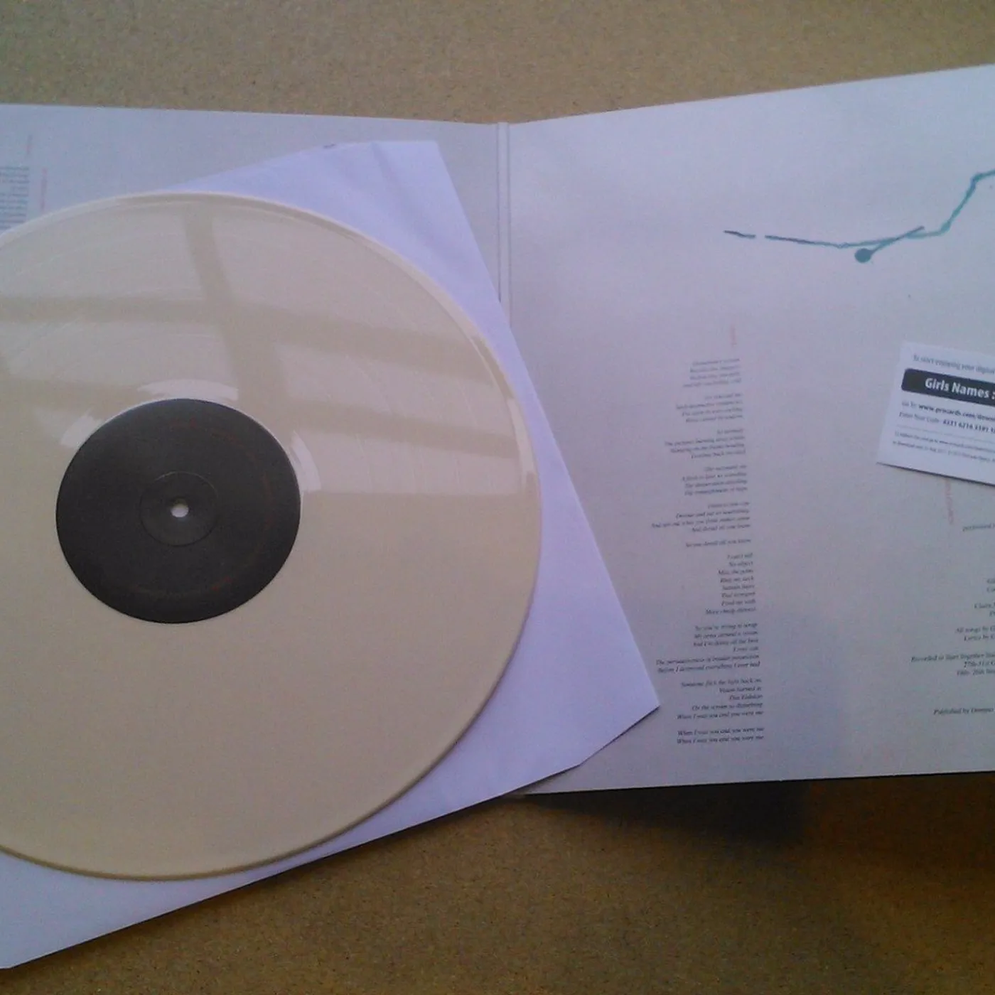 Girls Names 'Arms Around a Vision' Vinyl Record