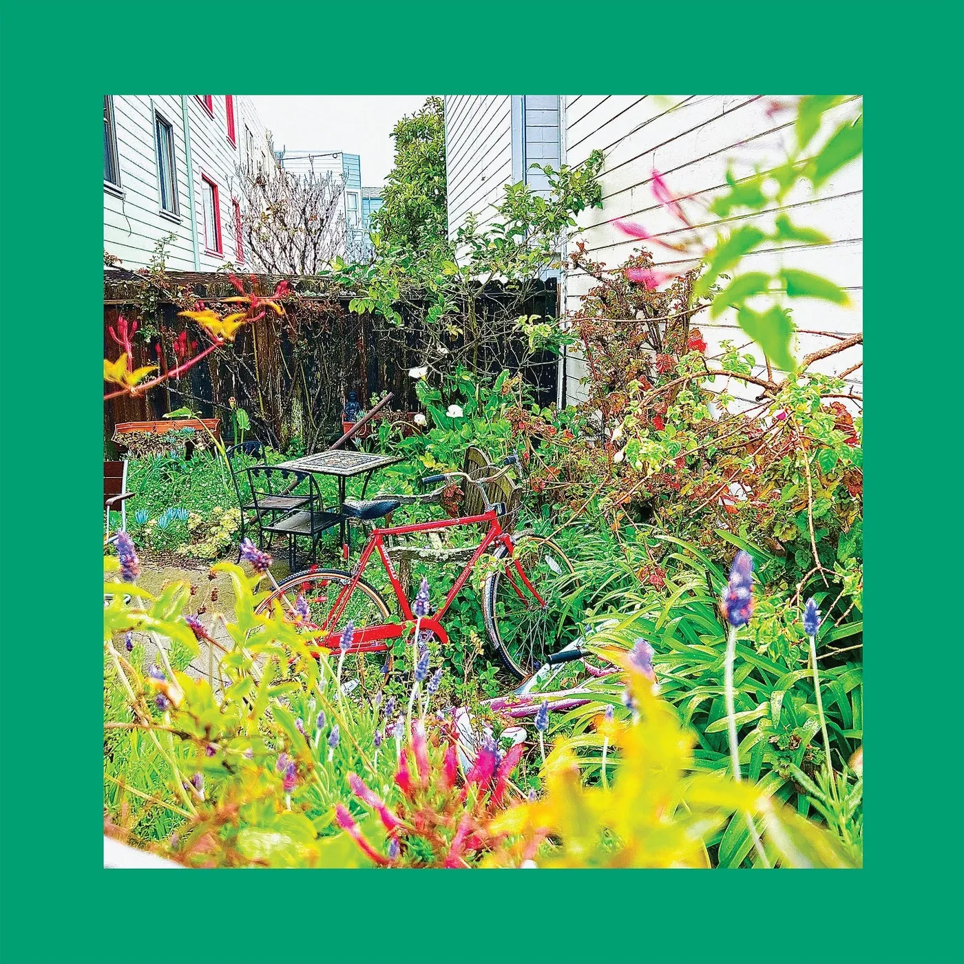 The Reds, Pinks And Purples 'Unwishing Well' PRE-ORDER Vinyl Record