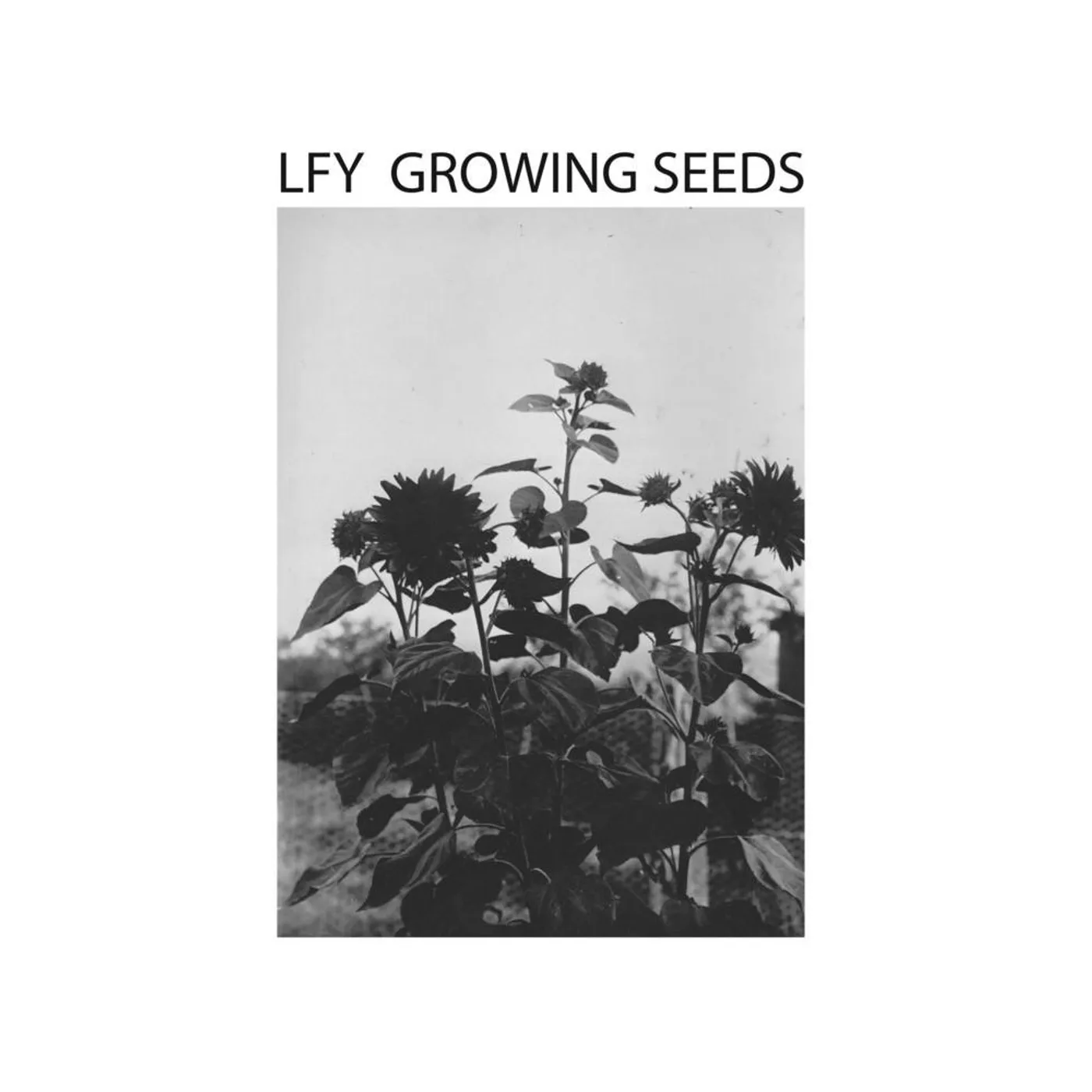 Lust For Youth 'Growing Seeds' Vinyl Record