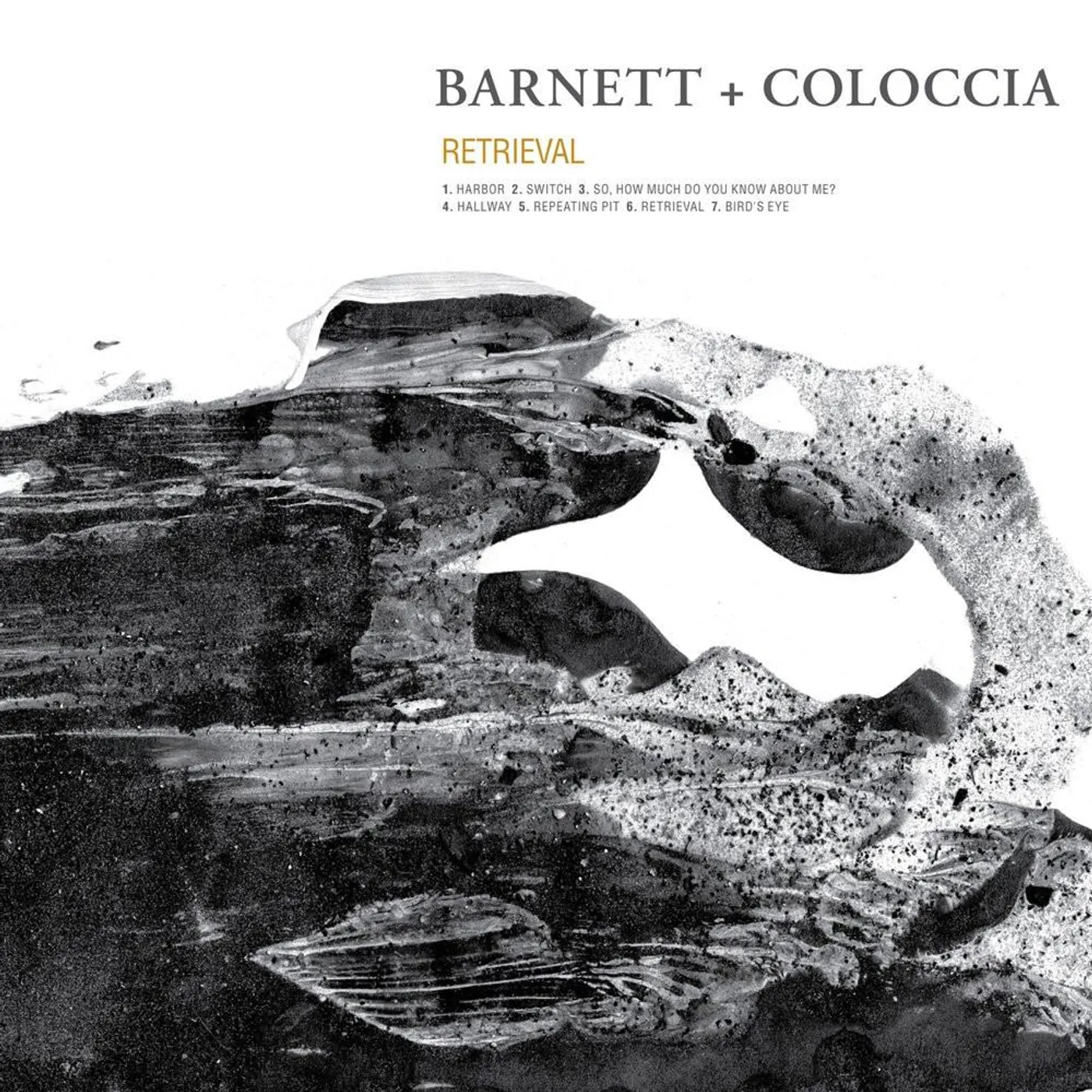 Barnett + Coloccia 'Retrieval' Vinyl LP Vinyl Record