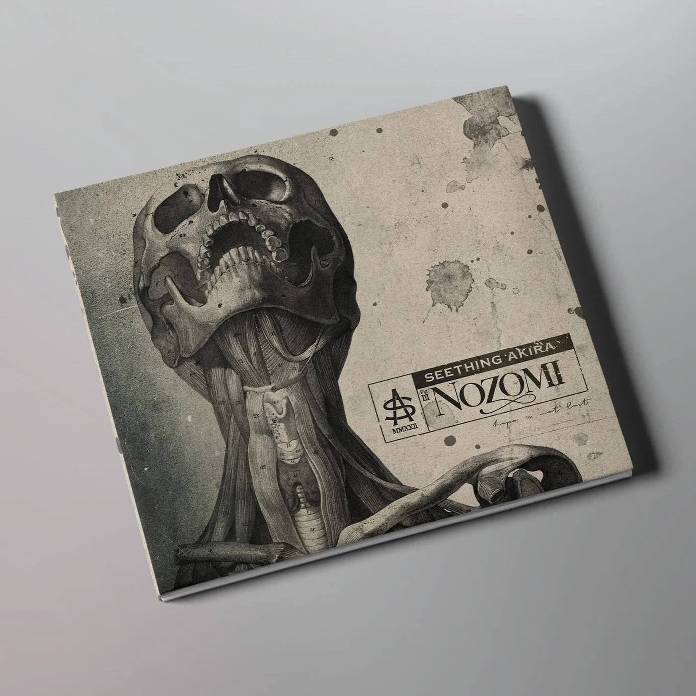 Seething Akira - Nozomi CD